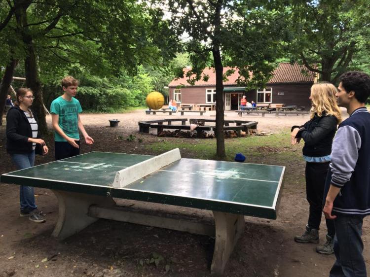 19059670_1142399592531241_3486360047164112274_n